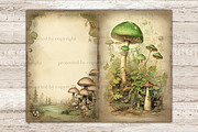 Mushrooms Junk Journal Pages, a Seasonal Illustration by GlamArtZhanna (Thumbnail 6 of 9)