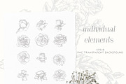 Vintage Roses - Line art Florals, a Decorative Illustration by BlumenSoul (Thumbnail 7 of 8)