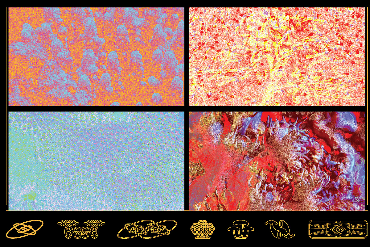 Coral Textures, a Texture Graphic by Kapoor Design Empire (Photo 8 of 8)