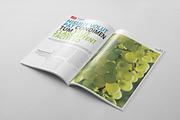 Magazine Template 40, a Magazine Template by pmvch (Thumbnail 21 of 30)