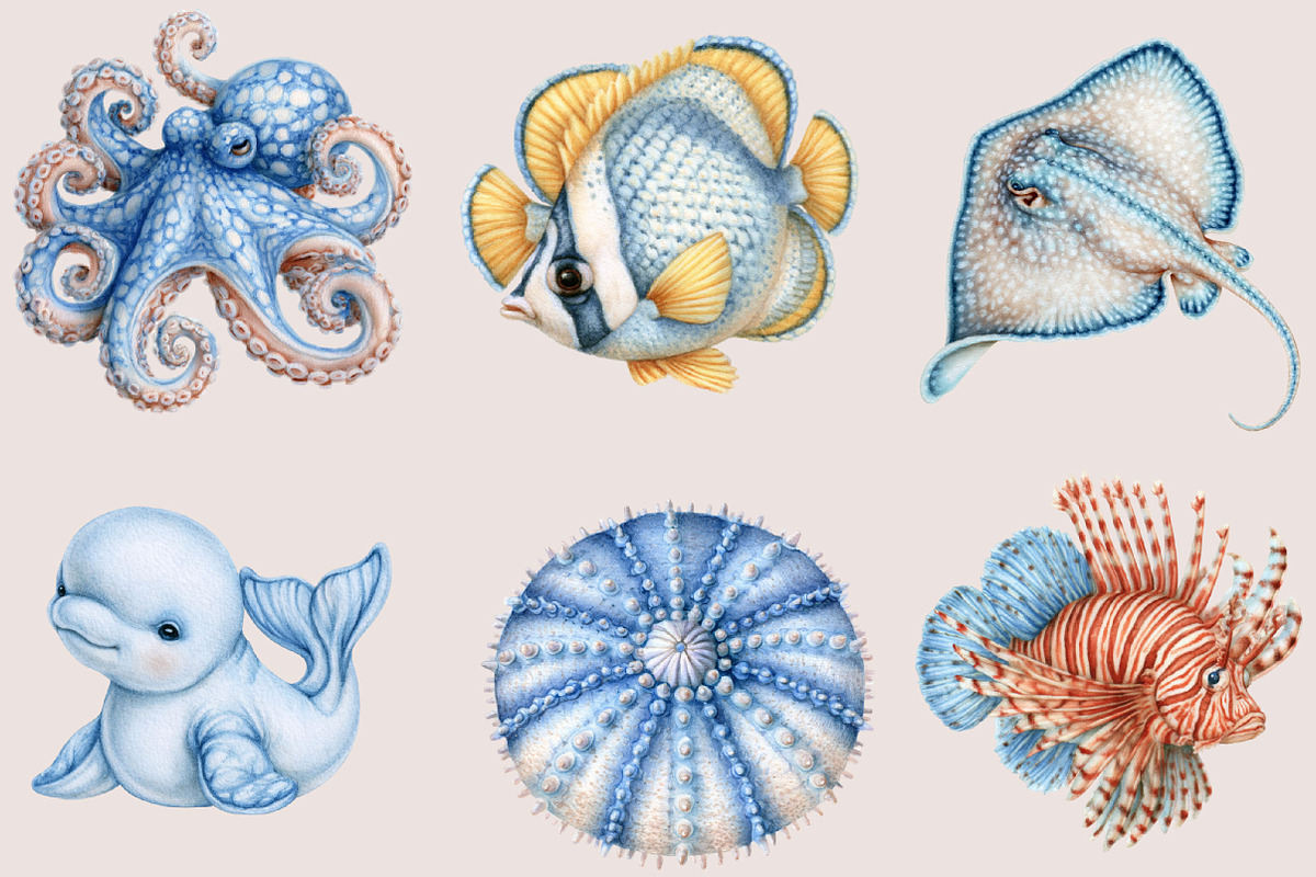 Watercolor Sea Animals Clipart, a Seasonal Illustration by SVGArt (Photo 2 of 5)
