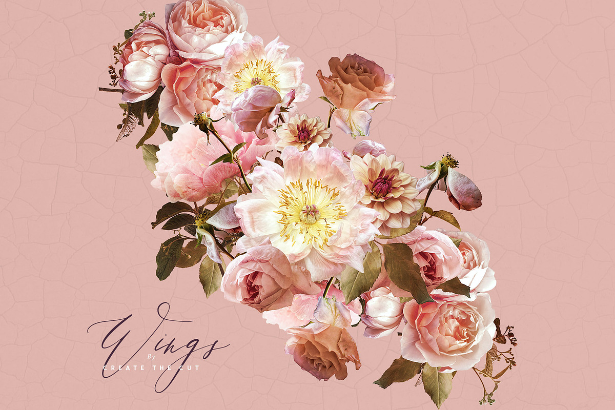 Digital Flower Clip Art - Wings, an Illustration by Create The Cut (Photo 7 of 10)