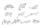 Breeds Lizard Hand-Drawn Vol. 2, an Animal Illustration by SLAB! Design (Thumbnail 2 of 3)
