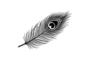 Peacock Feather Silhouette Bundle, an Illustration by jahid234 (Thumbnail 13 of 31)