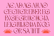Maison Salome, a Serif Font by zeenesia (Thumbnail 16 of 16)