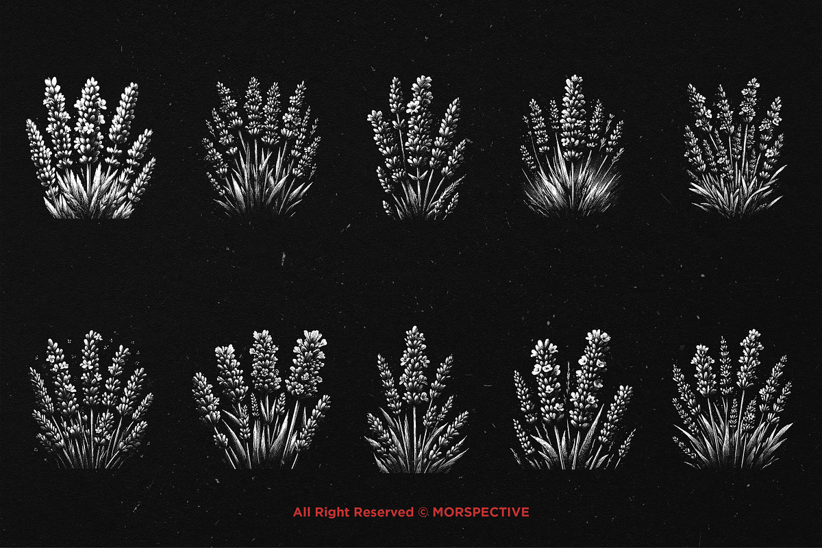 10 Bundle Dark Art Lavender Flower, an Illustration by Morspective (Photo 6 of 7)