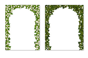 Ivy Vector Set For Floral Design