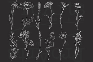 Minimal Botanical Brushes, Botanic