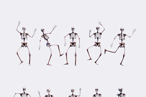 Low Poly Human Skeleton 40 Poses