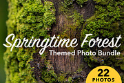 Forest Background Photo Bundle, a Nature Photo by kristiangallagher (Thumbnail 1 of 5)