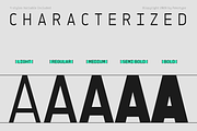 Sawith Mono - Monospaced Font Family, a Sans Serif Font by Pekotype (Thumbnail 6 of 15)