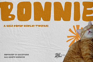 BONNIE BOLD FUN TYPEFACE
