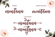Smonthia Script, a Script Font by Jhoel Design (Thumbnail 4 of 7)