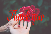 Evolutio, a Script Font by StudioRz (Thumbnail 7 of 7)