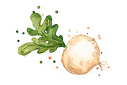 Set of white foods, watercolor, a Food Illustration by Kamenuka (Thumbnail 4 of 4)