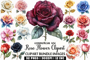 Rose Flower Clipart Bundle, an Illustration by Craft Nest