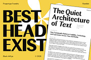Rundale, a Sans Serif Font by Propertype (Thumbnail 2 of 15)
