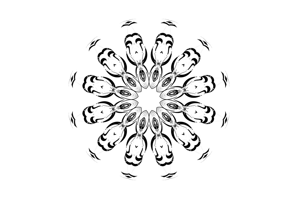 Elegant Mandala Line Art Collection, a Decorative Illustration by NJ Himel (Photo 73 of 101)