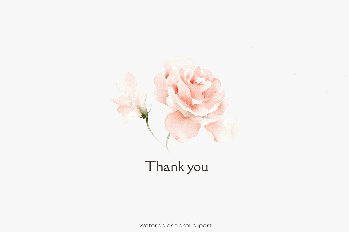 blush elegance floral clipart png, a Decorative Illustration by Patishop Art (Photo 8 of 8)