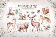 Watercolor woodland collection, an Animal Illustration by Peace ART (Thumbnail 2 of 14)