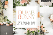 Dumb Bunny Easter Stock Photography, a Mockup by Ashley Alexandra Design (Thumbnail 1 of 10)