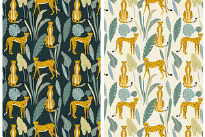 Collection Of Leopards And Patterns.