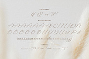 Holicakes Serfinah Beauty Script, a Script Font by Storytype Studio (Thumbnail 14 of 15)