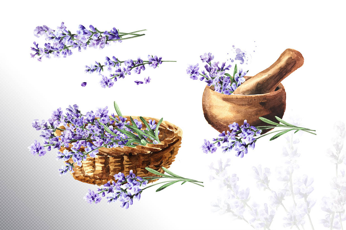 Lavender Mood, a Decorative Illustration by Daria Ustiugova (Photo 7 of 14)