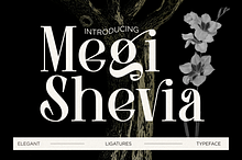 Megi Shevia Modern Serif Font