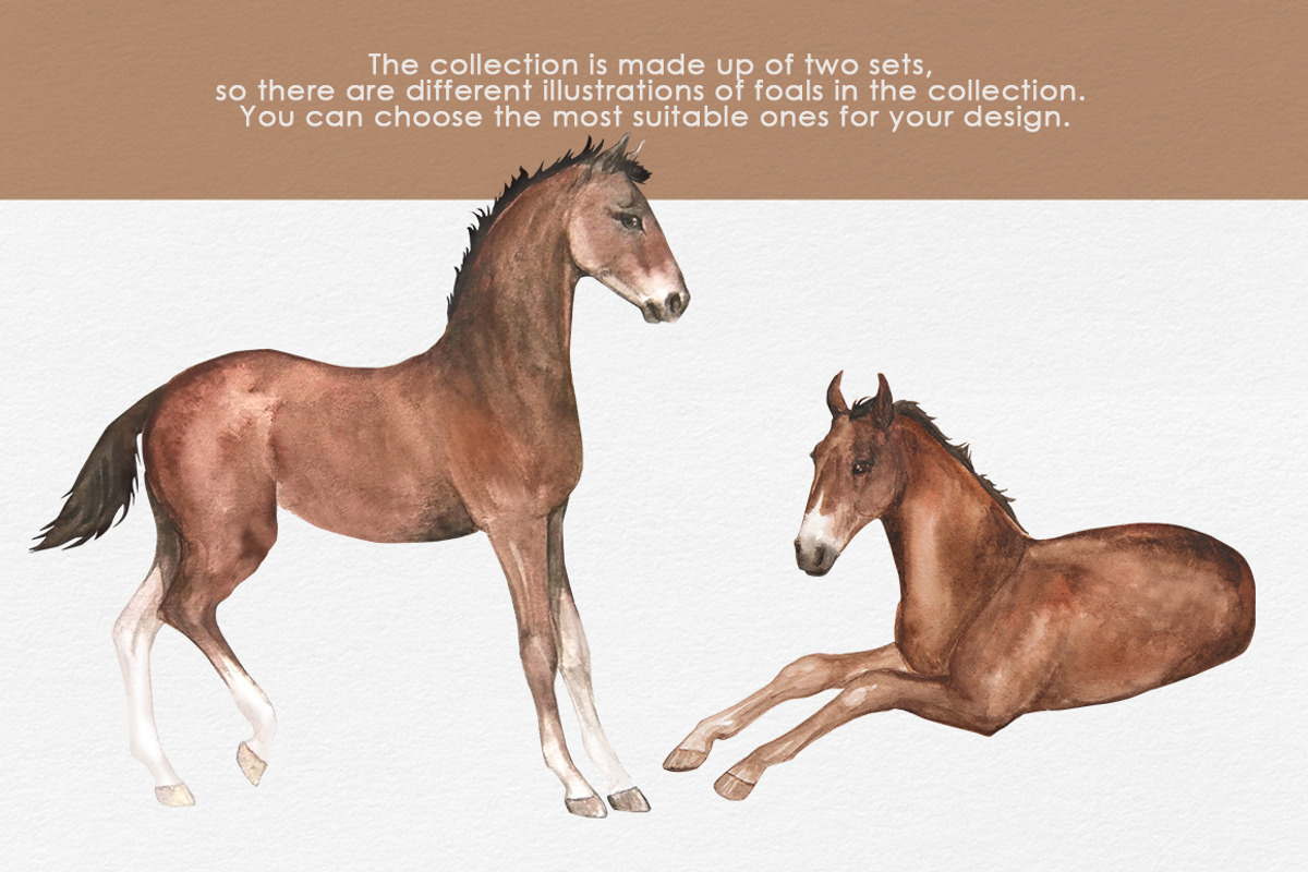 Foals Butterflies watercor clipart, an Illustration by FerroDakora (Photo 3 of 7)