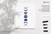 Natural Shadow Play Overlays, a Texture Graphic by Feather & Sage Design (Thumbnail 17 of 17)