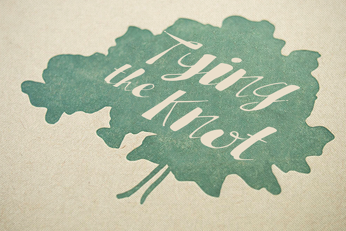 Lisa Marie Script, a Script Font by BlueRobinDesignShop (Photo 4 of 7)
