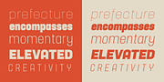 Yoshida Sans, a Sans Serif Font by TypeUnion (Thumbnail 4 of 10)