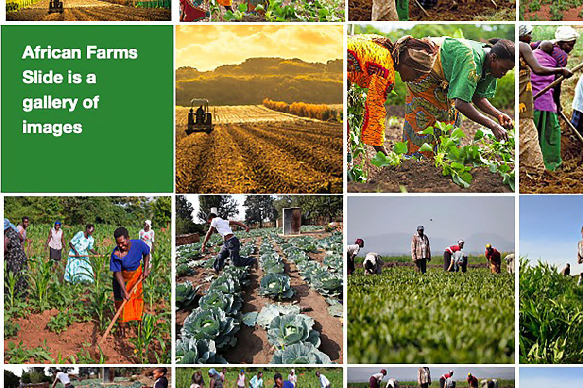 Colorful Template For Any Use, a Templates & Theme by Iconography - Pitch Deck (Photo 18 of 36)
