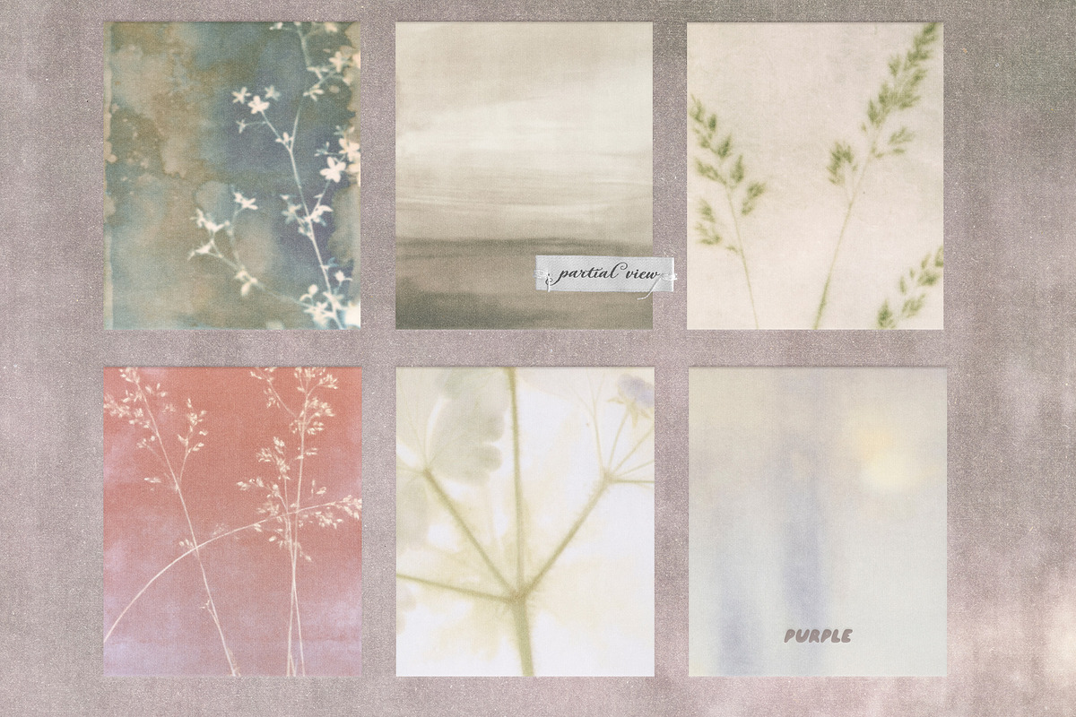 Partial View - Nature Backgrounds, a Background Graphic by Purple (Photo 2 of 12)