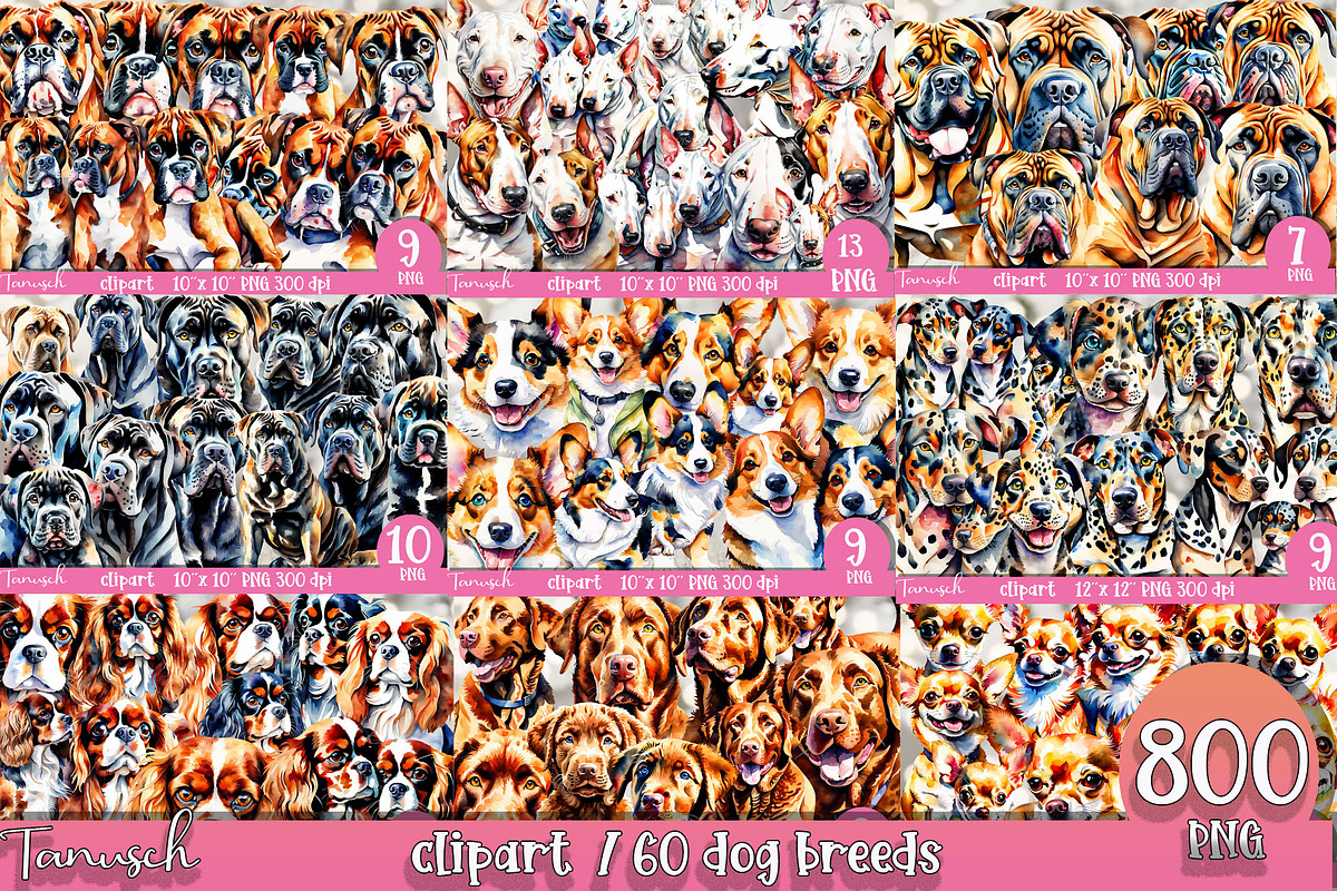 watercolor dog breeds bundle, an Animal Illustration by TanuschArts (Photo 5 of 7)