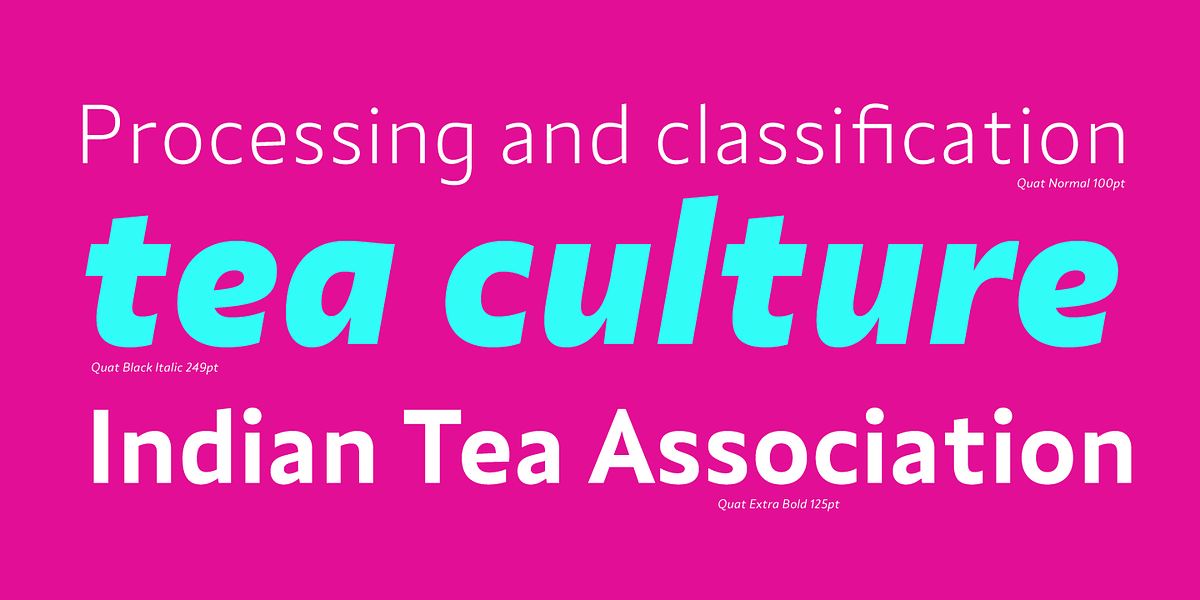 Quat, a Sans Serif Font by Ani Dimitrova (Photo 10 of 15)