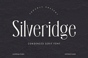 Silveridge - Serif Font, a Serif Font by Alpaprana (Thumbnail 1 of 9)