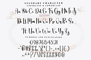 Style Wedding, a Handwritten Font by InermediaSTUDIO (Thumbnail 2 of 8)
