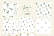 Sage Floral Illustrations, an Object Graphic by whiteheartdesign (Thumbnail 10 of 14)