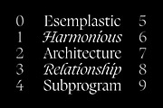 Silene - Elegant Serif Typeface, a Serif Font by Piotr Łapa (Thumbnail 10 of 12)