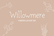 Willowmere Slab Serif, a Slab Serif Font by FreedomFunnels.co (Thumbnail 1 of 2)