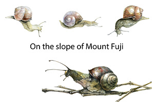 On the slope of Mount Fuji