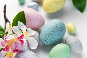 Pastel easter eggs with spring blossoms celebrating holiday seas, a Holiday Photo by Olena Rudo