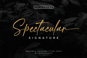 Spectacular Signature Font