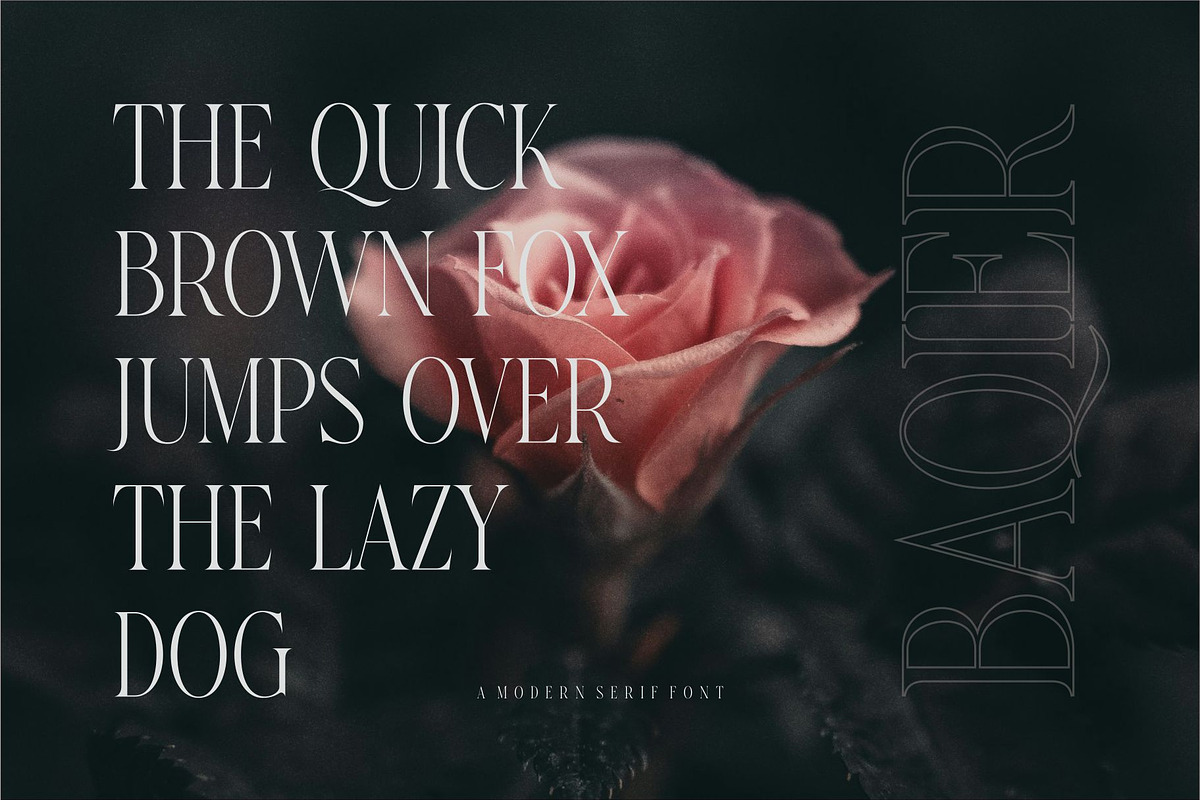 Baqier Modern Serif Font, a Serif Font by Dylla_studio (Photo 5 of 9)