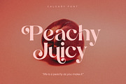 Calgary | New Stylish Serif Font, a Serif Font by Pentagonistudio (Thumbnail 9 of 20)