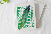The Bencoy Modern Serif Display, a Serif Font by timelesstype.co (Thumbnail 2 of 20)