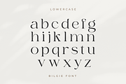 Bilgie - Chique Serif Font, a Serif Font by zeenesia (Thumbnail 16 of 19)