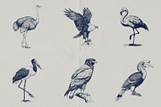 Wild Wonders: Safari Illustrations, an Animal Illustration by elliazidi.designs (Thumbnail 3 of 9)